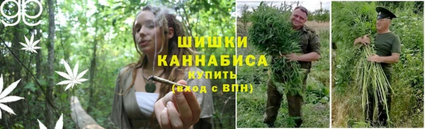 бутират Бородино