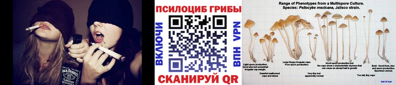 Галлюциногенные грибы GOLDEN TEACHER  Балашиха 